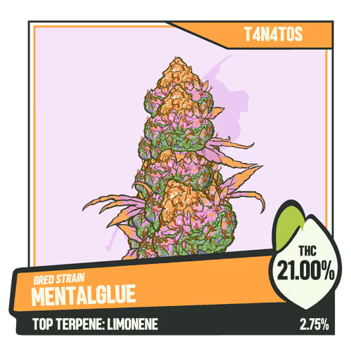 WEEDGANG.GAME - BRED STRAIN