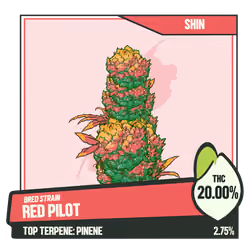 WEEDGANG.GAME - BRED STRAIN