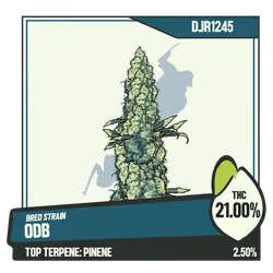 WEEDGANG.GAME - BRED STRAIN