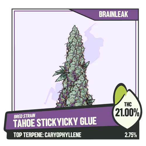 WEEDGANG.GAME - BRED STRAIN