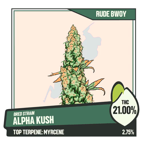 WEEDGANG.GAME - BRED STRAIN