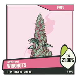 WEEDGANG.GAME - BRED STRAIN