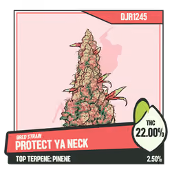 WEEDGANG.GAME - BRED STRAIN