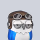 5137