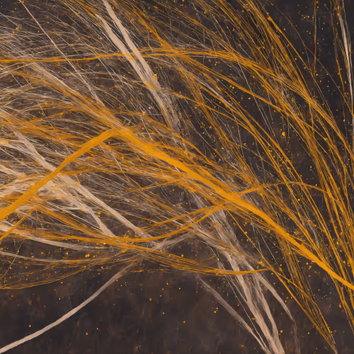 Lumens #68
