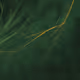 666