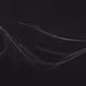 248