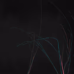 Lumens #121