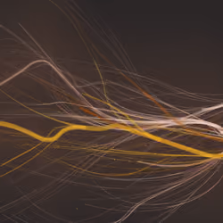 Lumens #114