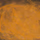 282