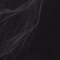 Lumens #619