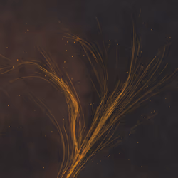 Lumens #97