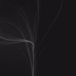 Lumens #202