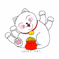 Chubby cats