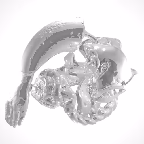 The Hand-Heart Problem by Auriea Harvey