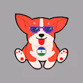 Corgi Puppiess