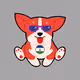 Corgi Puppiess