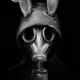 Cursed Bunny's