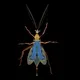 Animated Insects