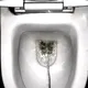 urine.wtf