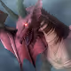 Special Dragon Collection