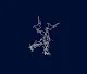 Crypto Snowflakes
