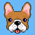 Crypto Frenchie