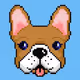 Crypto Frenchie