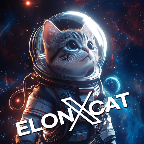 ELONXCAT Voyager