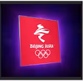 Beijing Olympic Winter Games
