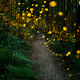 FANTASTICAL LIGHT ANIMATED-STILLS