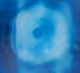 Macros