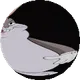 Chungus Token
