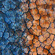 Earth Canvas by Marco Grassi