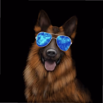 My world of dogs
