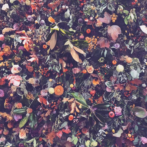 Flower realness