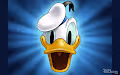 hello donald duck