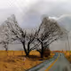 Scenes Along the Highway Redux