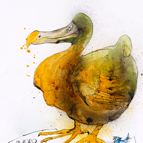 Gonzovation Open Edition by Ralph Steadman and Ceri Levy