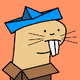 Naked Mole Rat Colony