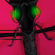 Drekoflies - Captured Aliens - old