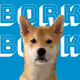 BORK BORK GEN 1