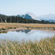 Landscapes Collection