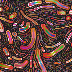 Item Media Placeholder