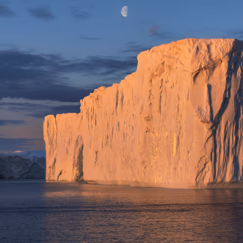 Dipanjan Pal Collabs