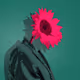 Cyber Sunflower