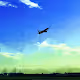 Triumph in the Skies