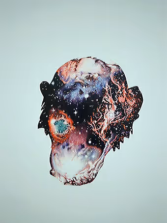 Pirate Ape Yanncht Club