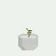 crypto money tree