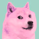 To The Moon DOGECOIN